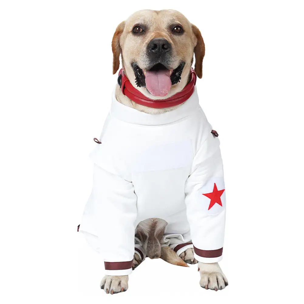 Guardians Of The Galaxy Vol. 3 Cosmo Hund Raumanzug Cosplay Halloween Karneval Party Kostüm 2 Guardians Of The Galaxy Vol. 3 Cosmo Hund Raumanzug Cosplay Halloween Karneval Party Kostüm – Bild 2
