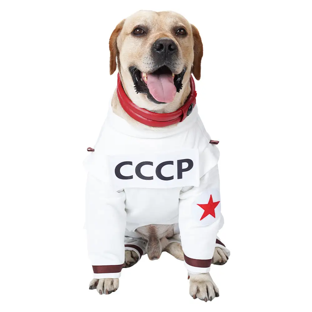 Guardians Of The Galaxy Vol. 3 Cosmo Hund Raumanzug Cosplay Halloween Karneval Party Kostüm 5 Guardians Of The Galaxy Vol. 3 Cosmo Hund Raumanzug Cosplay Halloween Karneval Party Kostüm – Bild 5