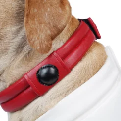 Guardians Of The Galaxy Vol. 3 Cosmo Hund Raumanzug Cosplay Halloween Karneval Party Kostüm 17 Guardians Of The Galaxy Vol. 3 Cosmo Hund Raumanzug Cosplay Halloween Karneval Party Kostüm -DEKORATIONSGESCHÄFT 15002135 7