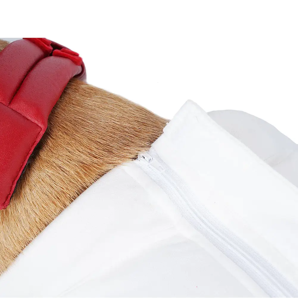 Guardians Of The Galaxy Vol. 3 Cosmo Hund Raumanzug Cosplay Halloween Karneval Party Kostüm 9 Guardians Of The Galaxy Vol. 3 Cosmo Hund Raumanzug Cosplay Halloween Karneval Party Kostüm – Bild 9