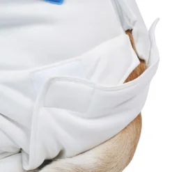 Guardians Of The Galaxy Vol. 3 Cosmo Hund Raumanzug Cosplay Halloween Karneval Party Kostüm 19 Guardians Of The Galaxy Vol. 3 Cosmo Hund Raumanzug Cosplay Halloween Karneval Party Kostüm -DEKORATIONSGESCHÄFT 15002135 9