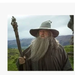 Harry Potter Albus Dumbledore Halloween Cosplay Kostüm Erwachsene -DEKORATIONSGESCHÄFT 1 01d705da 4ad2 4153 a532 2eda0ce2b5d4