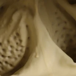 Stranger Things Demogorgon Maske Cosplay Latex Masken Helm Halloween Party Kostüm Requisiten 15 Stranger Things Demogorgon Maske Cosplay Latex Masken Helm Halloween Party Kostüm Requisiten -DEKORATIONSGESCHÄFT fa88be6a29432c15c0e85b5a8a138efe